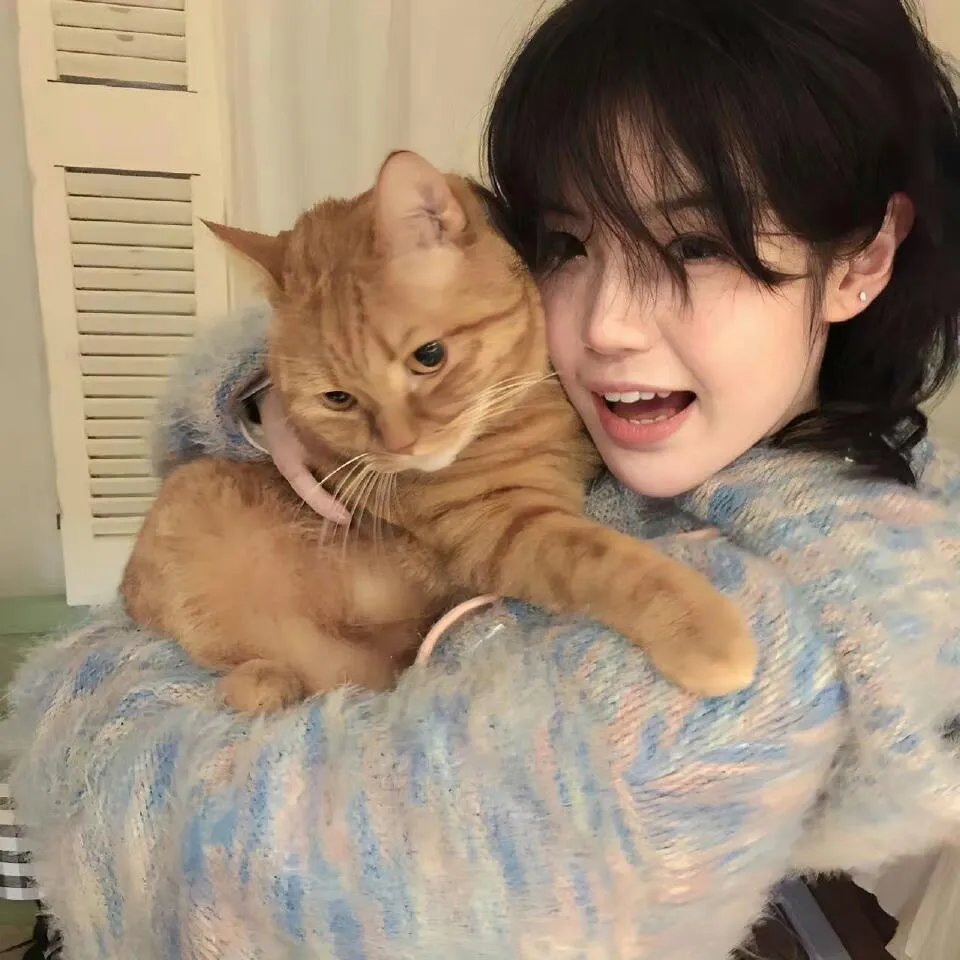 小猪佩奇第九季