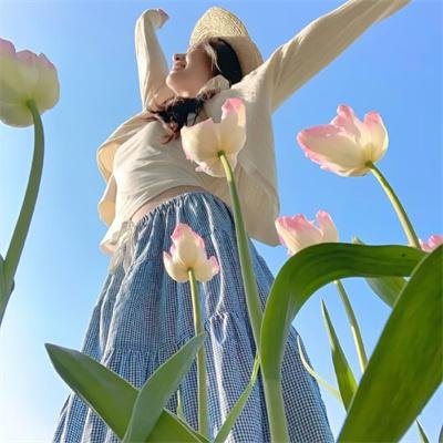 春风满锦城